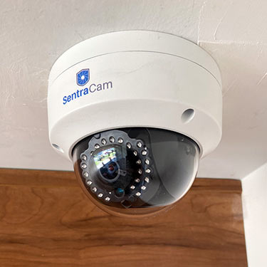Fixed Indoor Security Camera